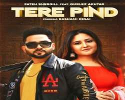 The actress could be seen in the music video of a number of songs including Tere Pind, Parwah, Kinna Sona, and Sajna Ve among others The actress could be seen in the music video of a number of songs including Tere Pind, Parwah, Kinna Sona, and Sajna Ve among others.